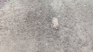 1000026279.mp4