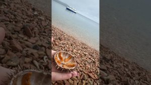 Катерная прогулка во Владивостоке