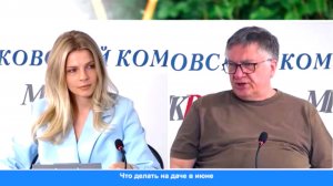 Эксперт пояснил, что делать с клещами на садовых участках