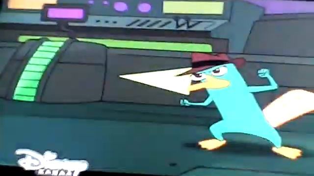 Реклама пери утконос смотреть онлайн