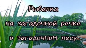 233-Рыбалка на загадочной речке в загадочном лесу.(27.05.2025)