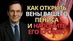 Как улучшить кровообращение и восстановить потенцию после 50. Ответы врача