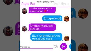Переписка по м/с леди баг и супер кот.  Девушка моей меч