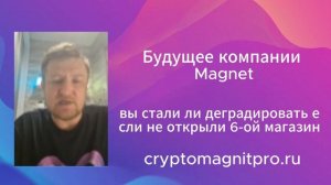 Будущее компании Magnet
