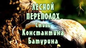 ЛЕСНОЙ ПЕРЕПОЛОХ - Константин Батурин и Нейросеть