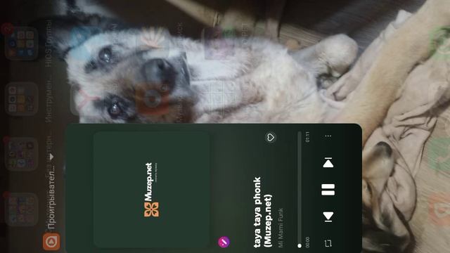 шутки кончились 2 часть!!! смотреть онлайн