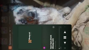 шутки кончились 2 часть!!!