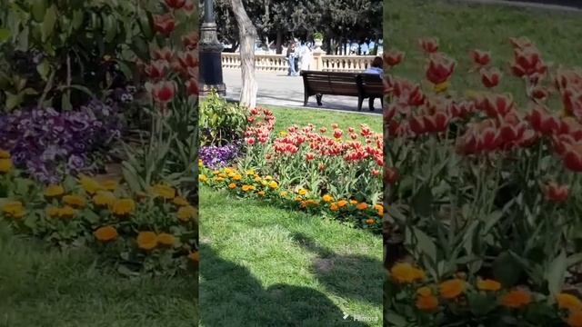 Самый красивый город на свете‼️Мой Баку❤️#баку #мой?