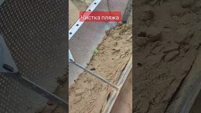 Просеивание песка в поисках золота смотреть онлайн