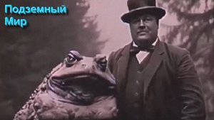 Ответы на Вопросы по Эзотерике от 30.05.25 Часть 2