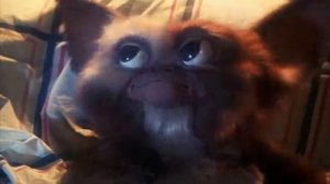 Фрагмент из кинофильма "Гремлины" (1984)