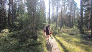 Семейный кемпинг на Селигере 2024: Палатка, байдарка, са?