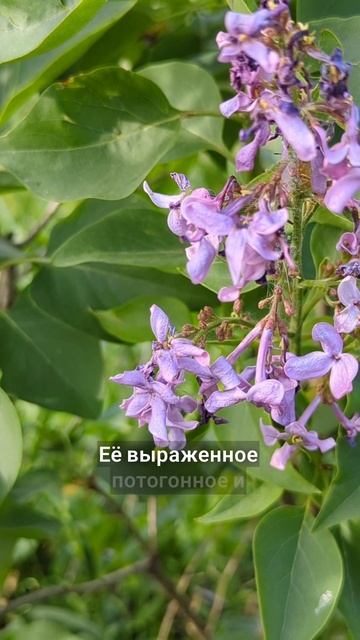 от злых людей и недугов