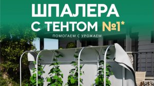 Обзор шпалеры от компании Экознак