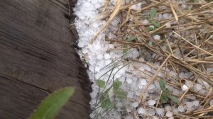 Град с грозы