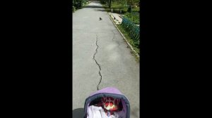 #ВЛОГ. Прогулка с двойняшками. ❤️🔥🍼🫰