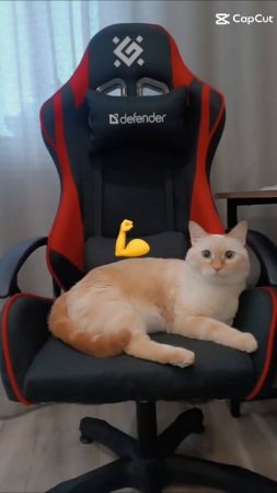 сигма эдит