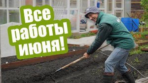 Необходимые работы в саду и огороде в июне!
