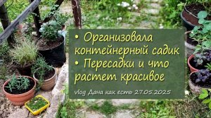 Что растет в контейнерах и не только, что само выросло и что сажаю / vlog дача как есть 27.05.2025