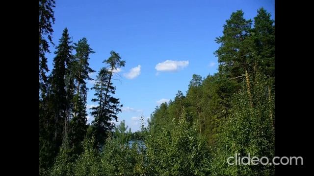 И. Брамс Концерт №2 Э. Фишер, В. Фуртвенглер смотреть онлайн