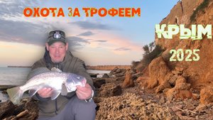 В поисках трофейного горбыля: секреты успешной рыбалки!