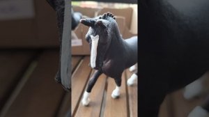 Обзор лошадей шляйх, за этот месяц (май)