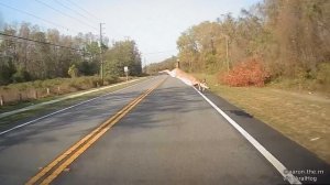 Pulled Over for Eating and Driving