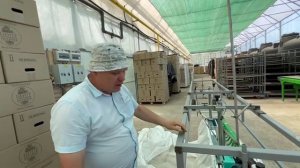 Реалити-шоу «Будни начинающего питомниковода» – Дела в питомнике в мае. Часть 24.