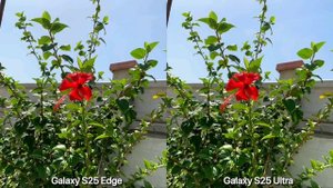 Samsung Galaxy S25 Edge vs Galaxy S25 Ultra - сравнение камер в реальной жизни