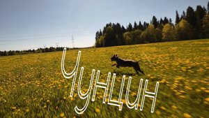ЧУНЦИН - ЛЕТЯЩЕЙ ПОХОДКОЙ FPV
