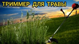 Бензиновый триммер для травы PROMO PBC 52