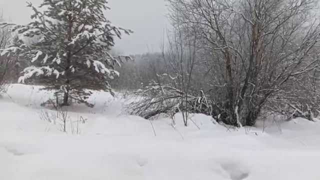 "Милая , купи мне хлеба, пожалуйста!!!"-жалобно просила с смотреть онлайн