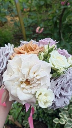 Букетик с моих роз