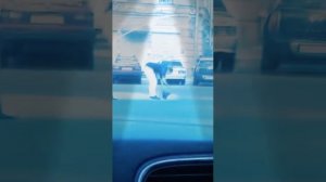 Санкт-Петербургский танцор  диско