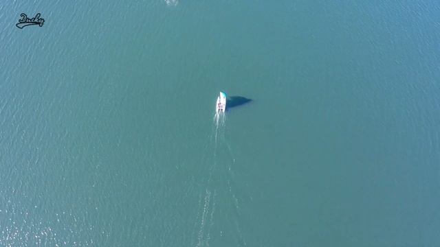 Inflatable sailing catamaran Ducky16 new design / Надувний вітрильний катам? смотреть онлайн