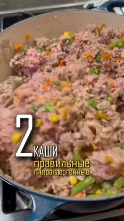3 простых шага к здоровому пищеварению у собаки