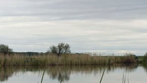 РУБЕЖ 2025