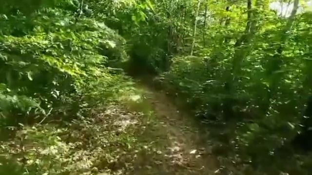 Меня спас незнакомец смотреть онлайн