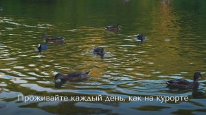 ЖК Ривьера
