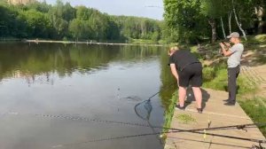 Поимка Карпа