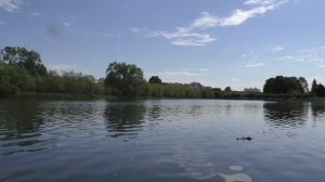 МОЯ ПЬЯНАЯ БАБА СЕБЕ НЕ ХОЗЯЙКА. Истории из жизни расс?