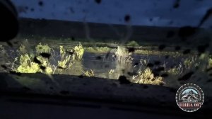 КАКИЕ ШИНЫ ЛУЧШЕ ПО ГРЯЗИ ,Forward Safari 510, 500 ИЛИ   Comforser CF300