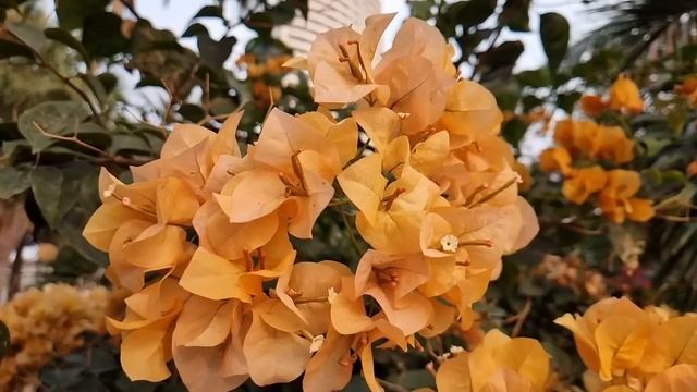 "Это мой дом и я буду здесь жить" - заявила свекровь. Но ? смотреть онлайн