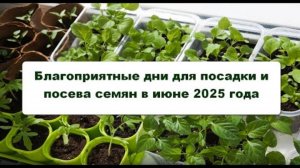 ЭТИ ДНИ В ИЮНЕ 2025 ПРИНЕСУТ ТЕБЕ БЕШЕНЫЙ УРОЖАЙ! 🌱 (Лунный календарь раскрыт)