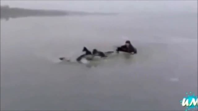 «Ледниоквый период»Тематическая видео лекция о правилах безопасности на водных объектах. смотреть онлайн