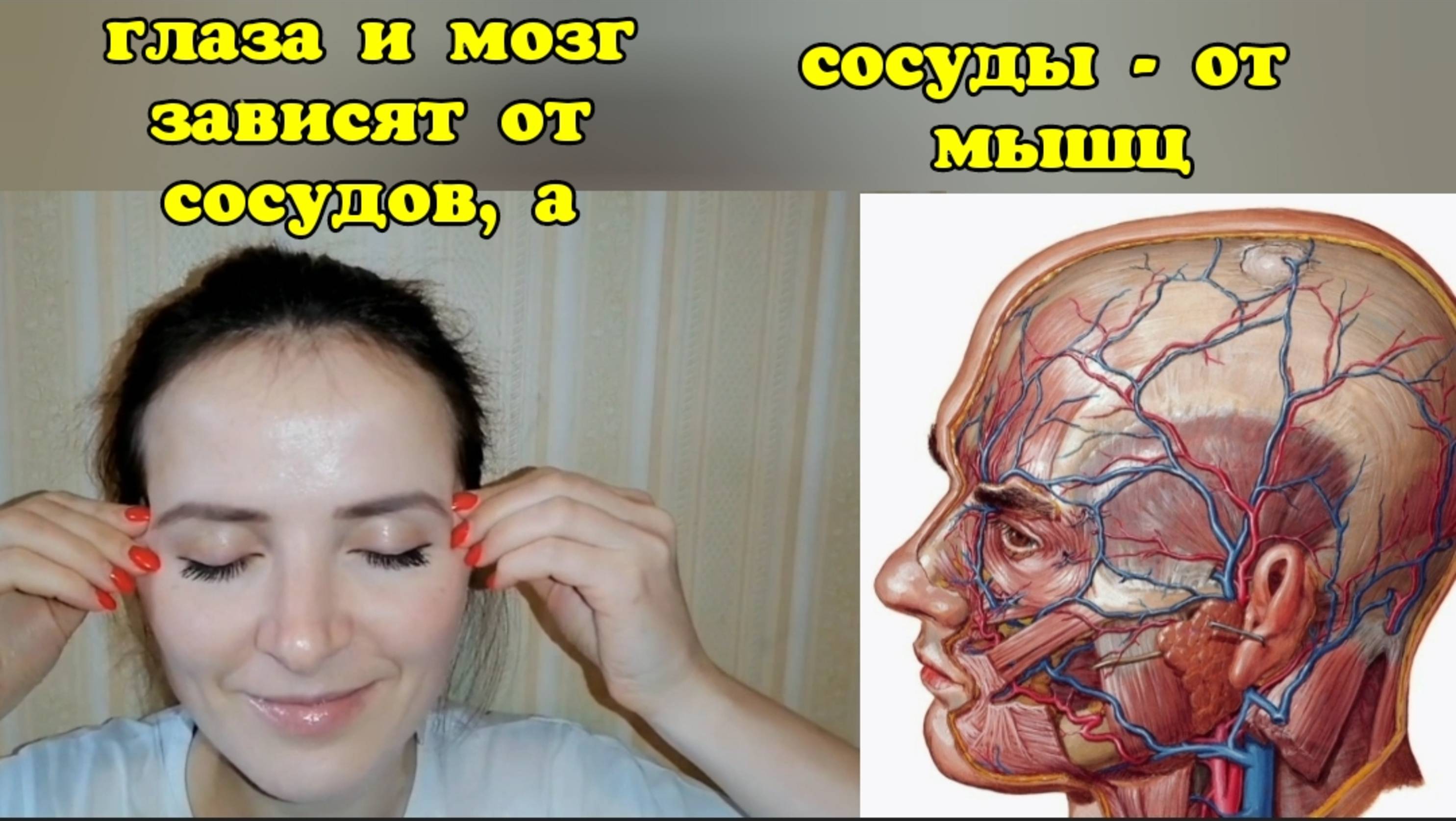 Прищур глаз зажимает височные вены. Укрепляем здоровье глаз и мозга