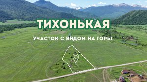 Земельный участок 132 сотки на продажу в с. Тихонькая Усть-Кокса