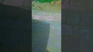 отдых, уборка,