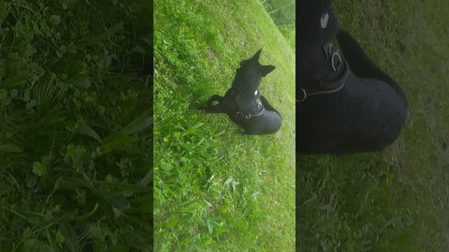 VID_20250530_192745.mp4 смотреть онлайн