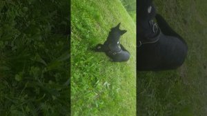 VID_20250530_192745.mp4